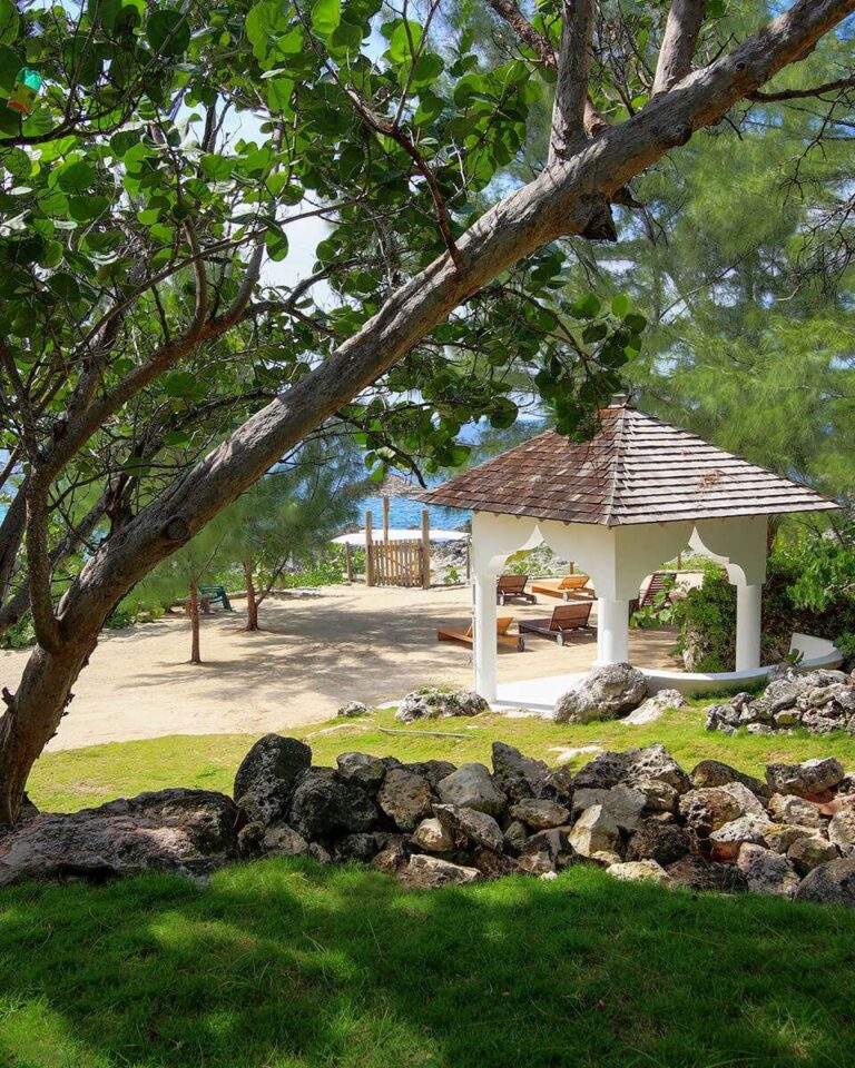 The Magic of Mushrooms 5 Reasons Why a Mushroom Retreat Should be Your