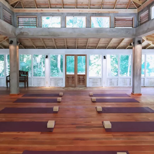 ONE Psilocybin Retreats Jamaica experience-yoga-1-500x500 Home  