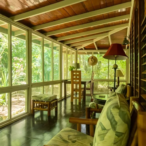 ONE Psilocybin Retreats Jamaica sea-grape-cottage-A-2-500x500 Home  