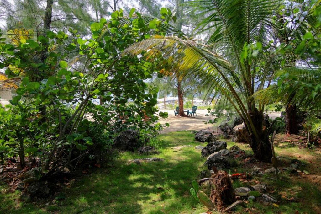 Interior of ONE Psilocybin Retreats in Negril, Jamaica