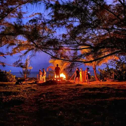 Inside a 3,900 Luxury Psilocybin Magic Mushroom Retreat in Jamaica