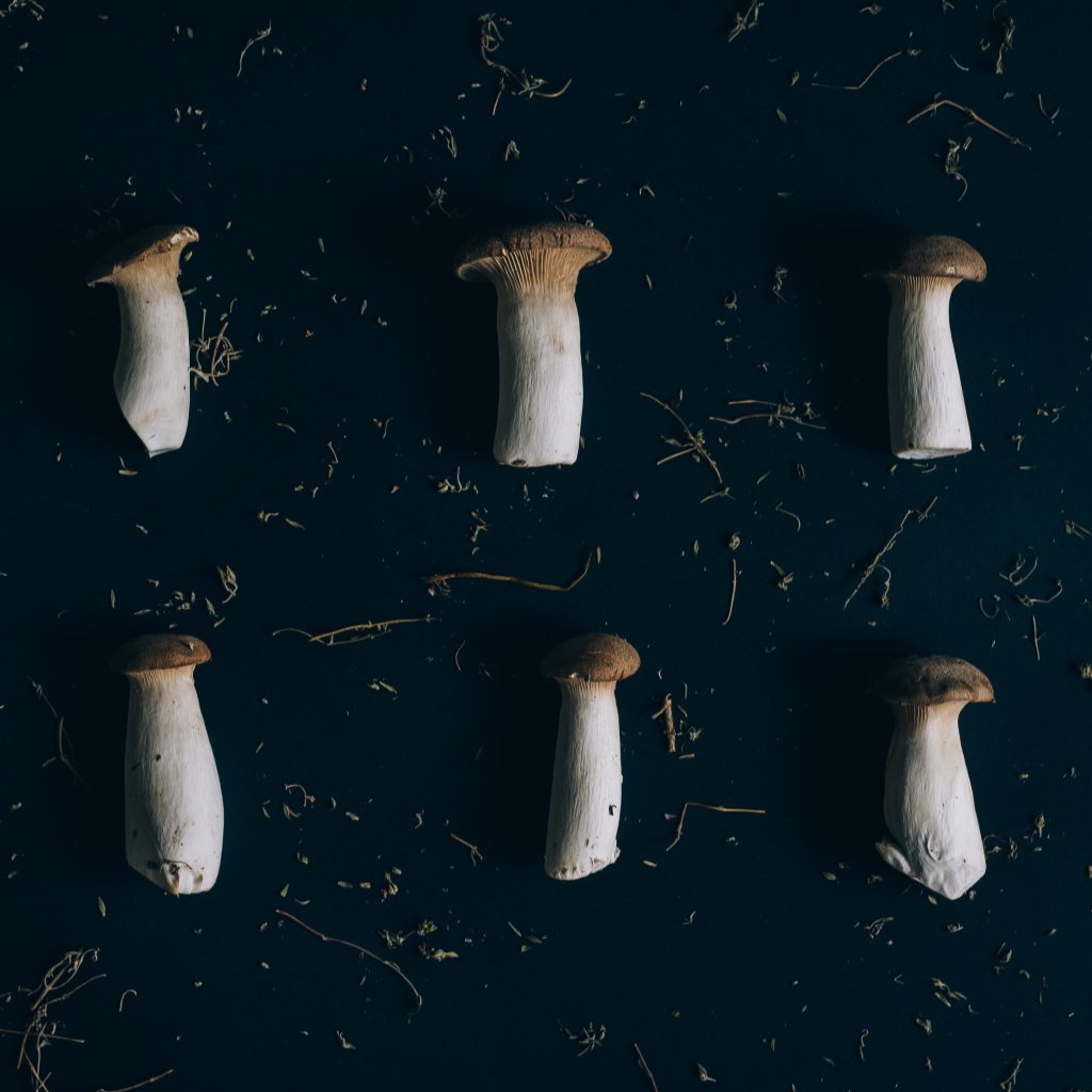 Close-up of six mushrooms, illustrating the diversity of magic mushrooms.