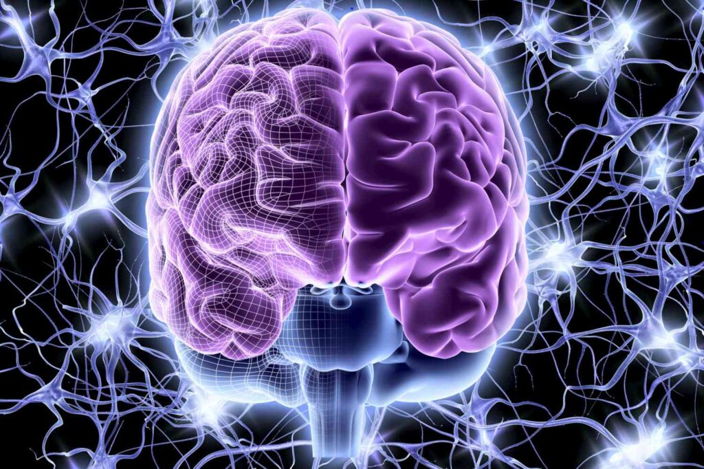 The Science Behind Breathwork and the Nervous System